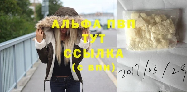 спайс Вяземский