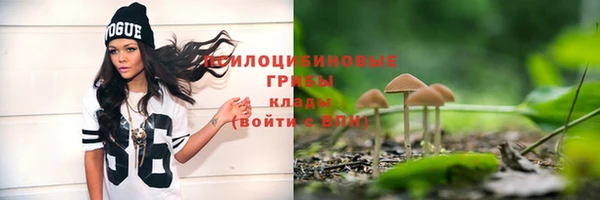 спайс Вяземский
