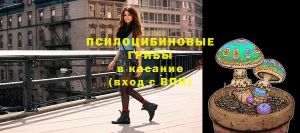 прущая мука Вязники