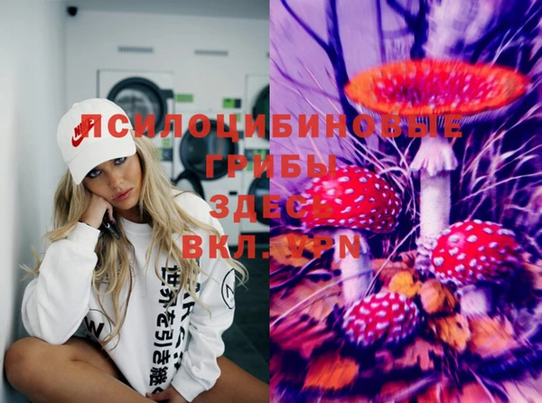 спайс Вяземский